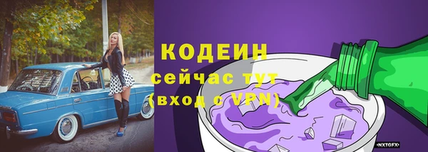 дживик Верея