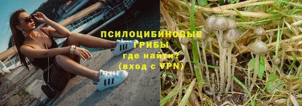 прущие крисы Верхний Тагил