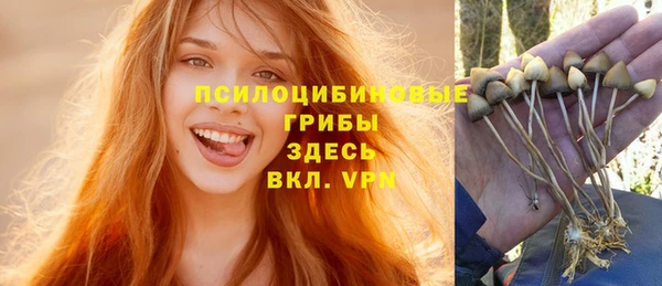 прущие крисы Верхний Тагил