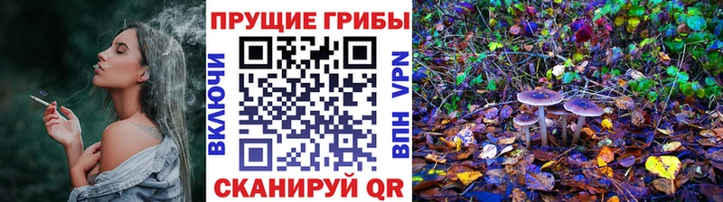 Купить  Нарьян-Мар  Псилоцибиновые грибы GOLDEN TEACHER 